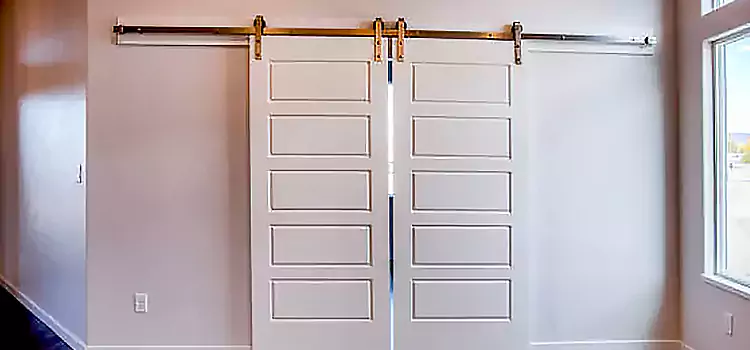 Glass Barn Door with Installation Hardware Kit Pickering