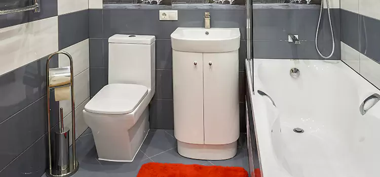 Hansgrohe Shaving Mirror Pickering